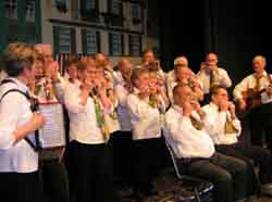 Die HaSEn in Aktion